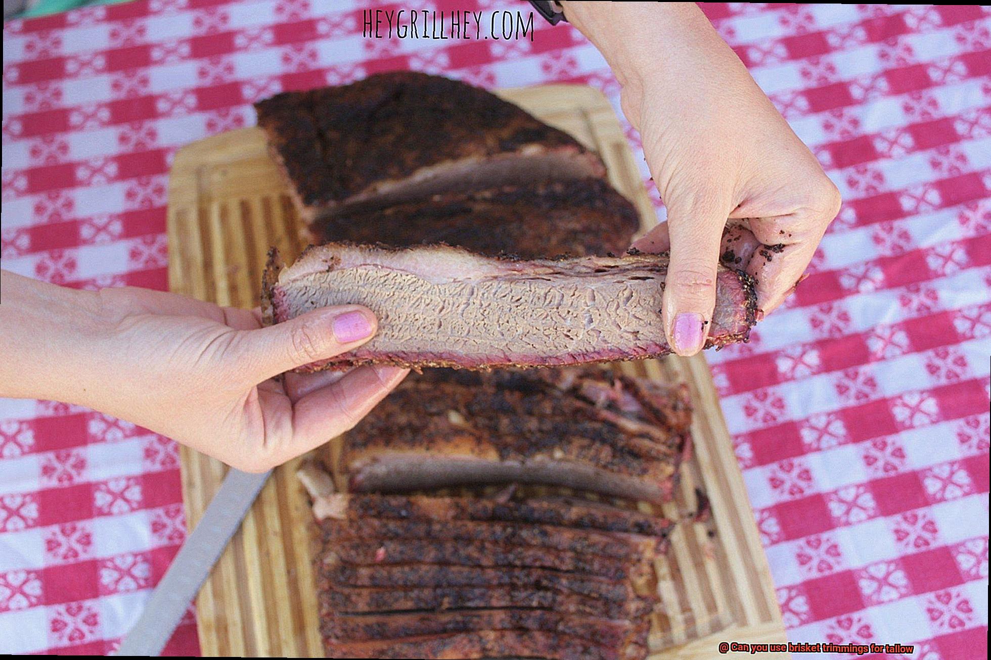 Can you use brisket trimmings for tallow-2