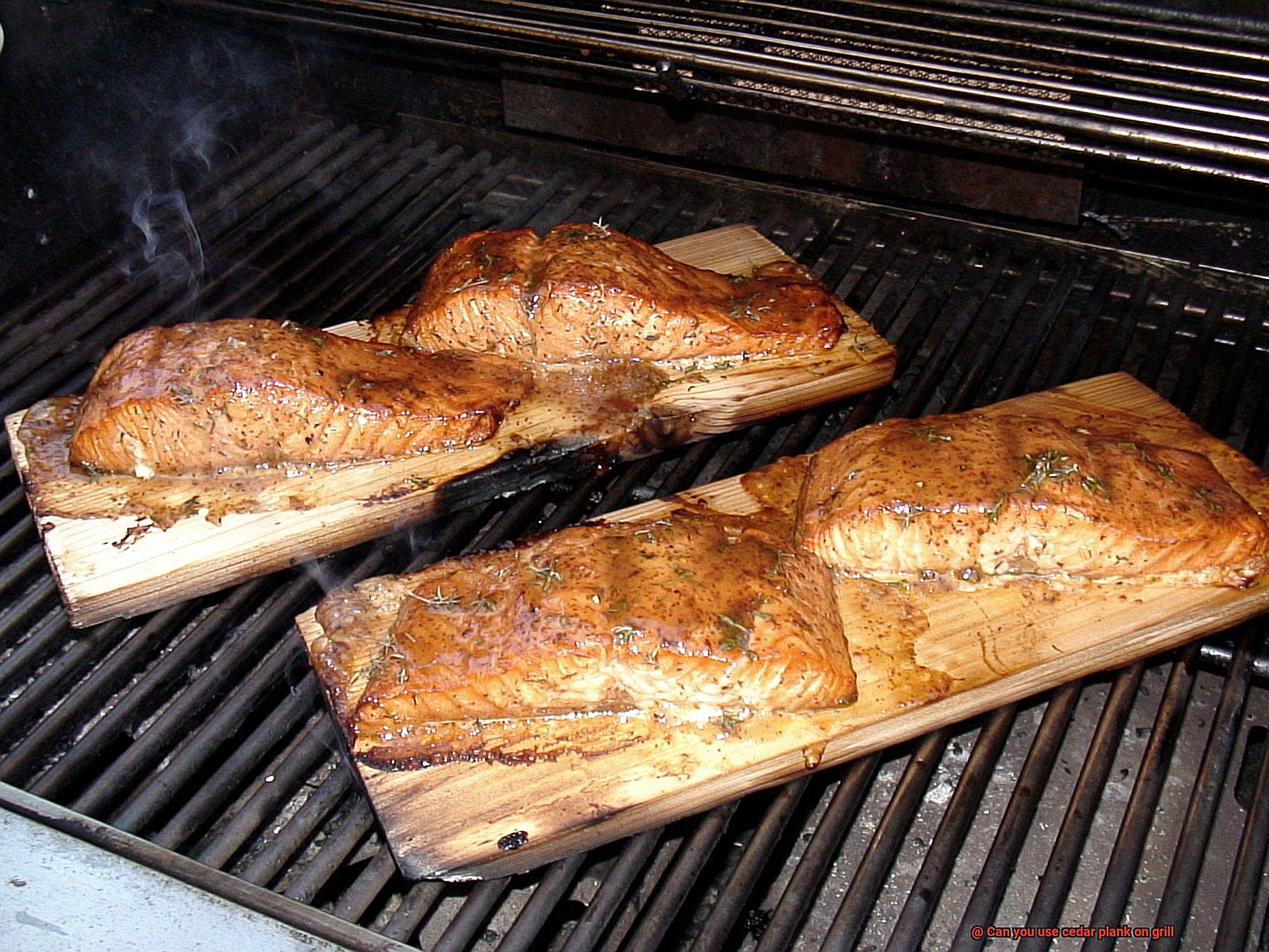 Can you use cedar plank on grill-2