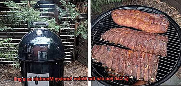 Can you use the Weber Smokey Mountain as a grill-2