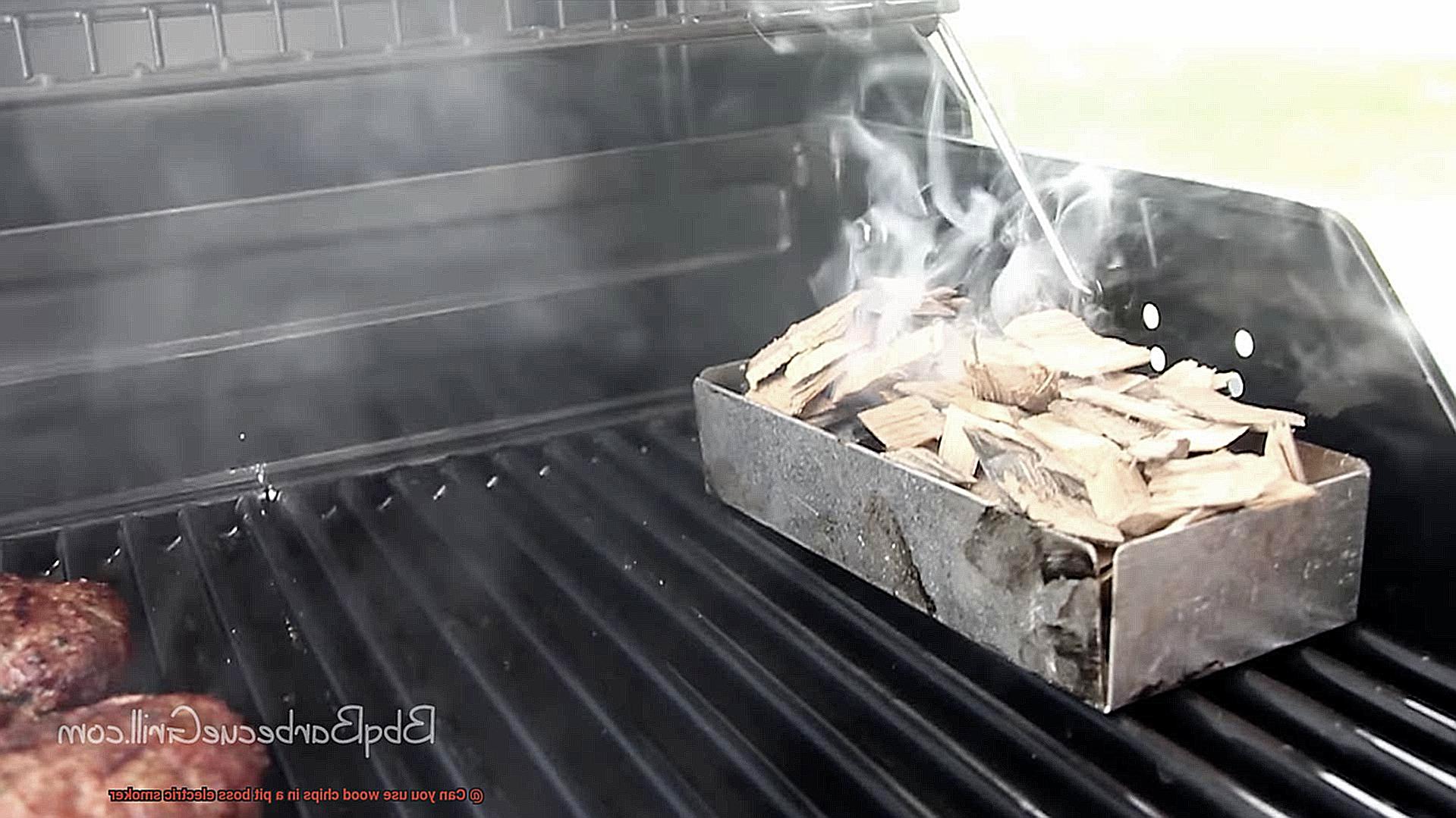Can you use wood chips in a pit boss electric smoker-4