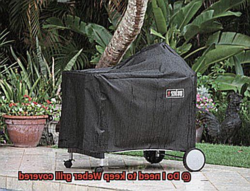 Do I need to keep Weber grill covered-9