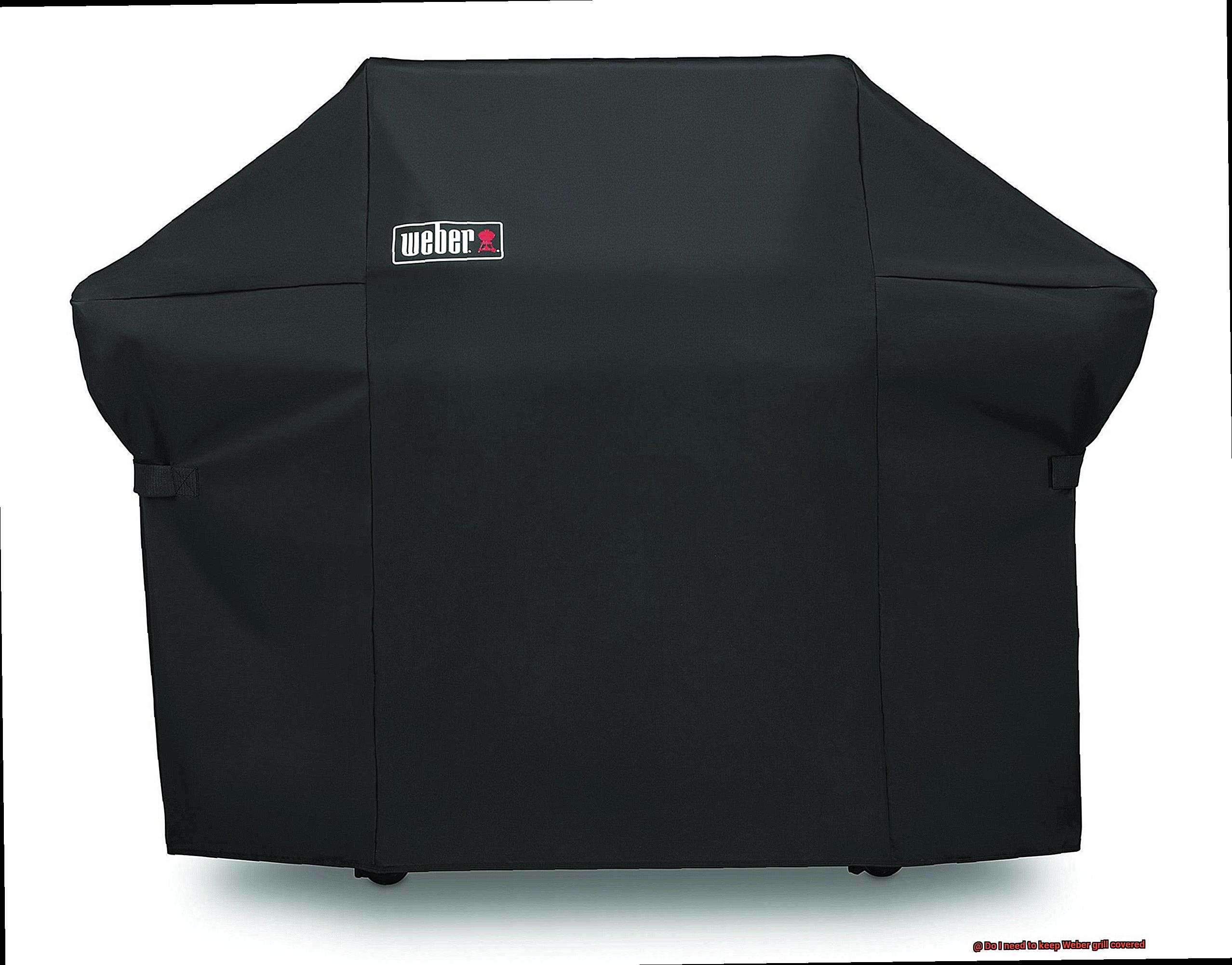 Do I need to keep Weber grill covered-6