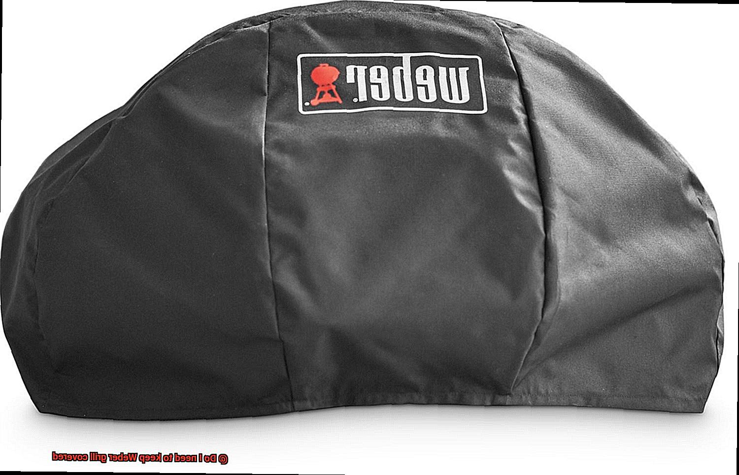 Do I need to keep Weber grill covered-3
