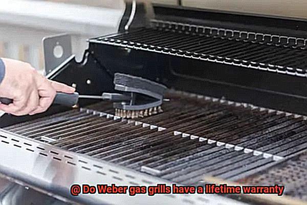 Do Weber gas grills have a lifetime warranty-5