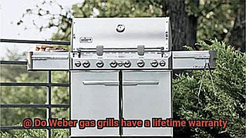 Do Weber gas grills have a lifetime warranty-4