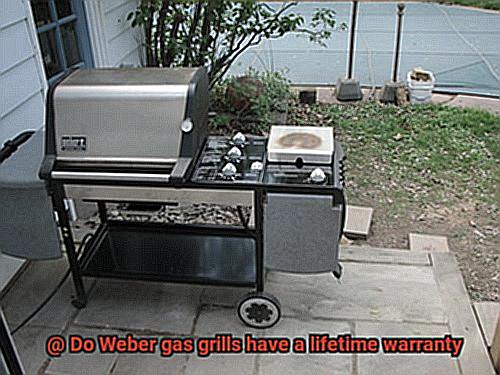 Do Weber gas grills have a lifetime warranty-2