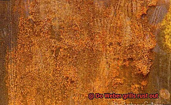 Do Weber grills rust out-5