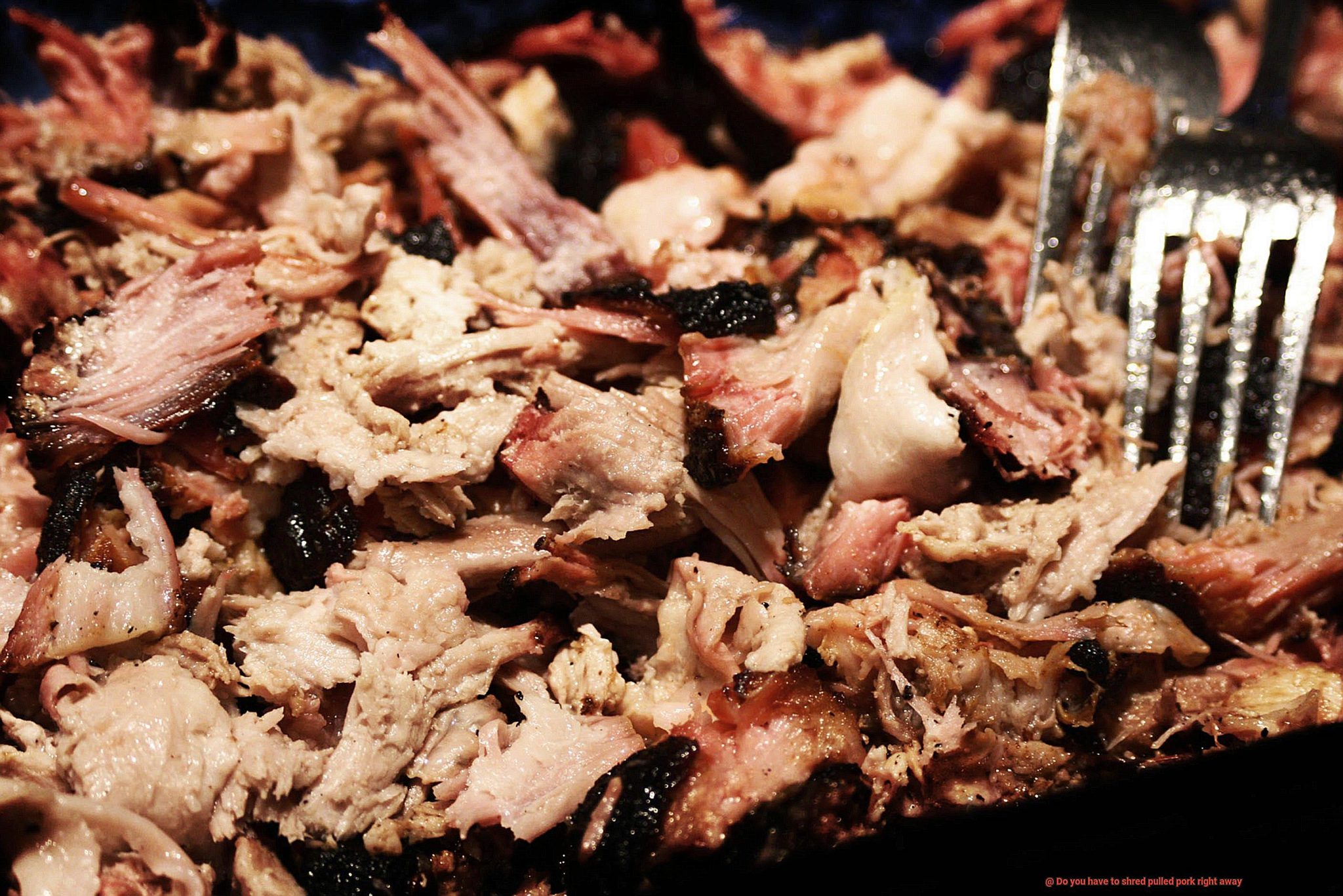 Do you have to shred pulled pork right away? Pastime Bar And Grill