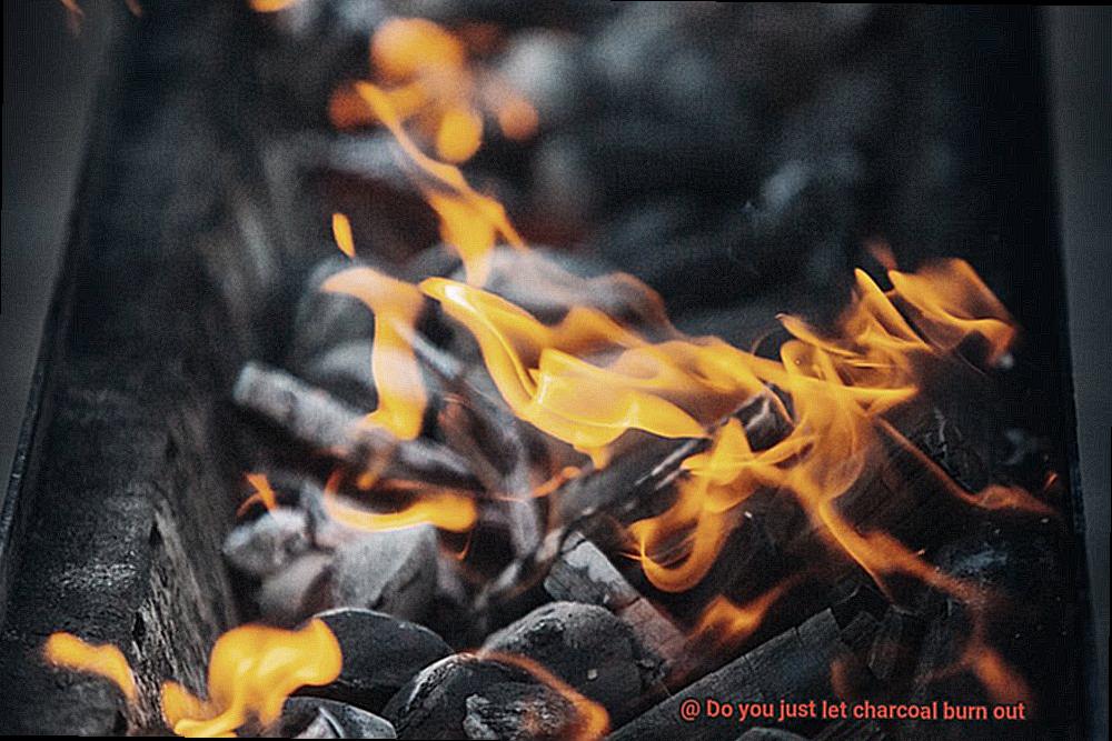 Do you just let charcoal burn out-2
