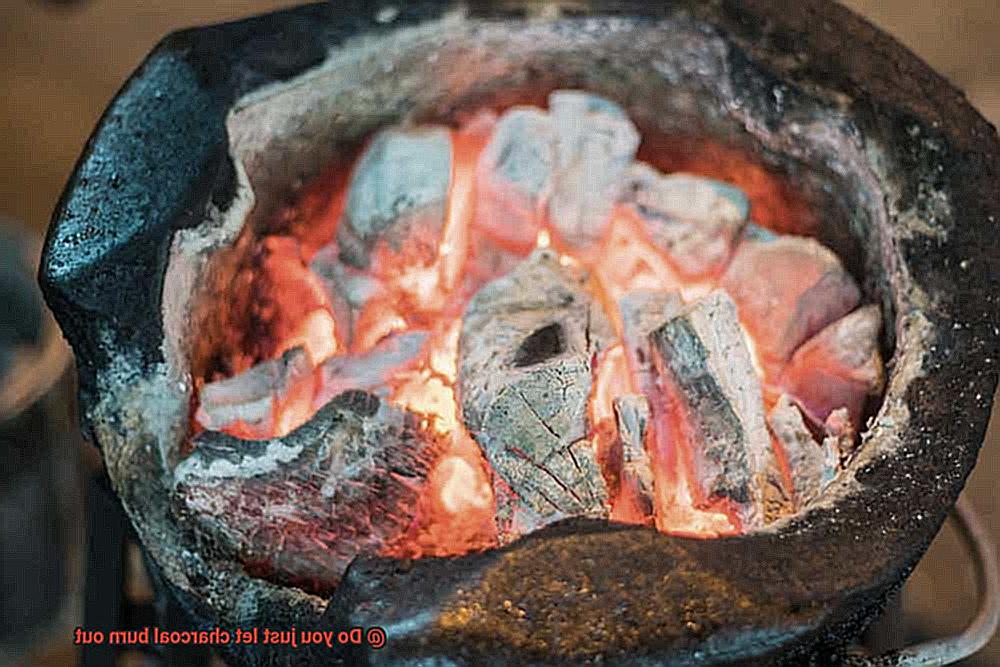 Do you just let charcoal burn out-7
