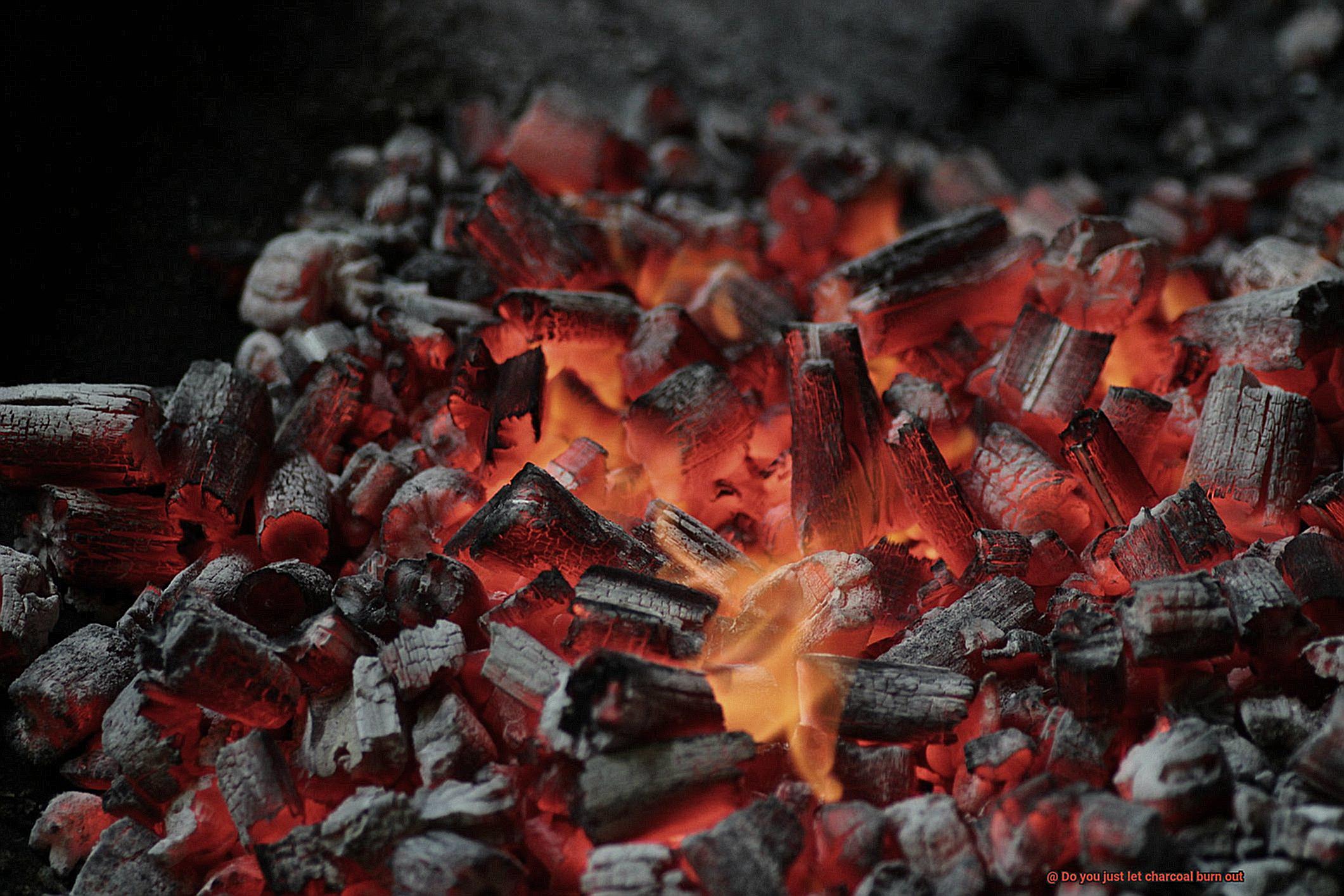 Do you just let charcoal burn out-3