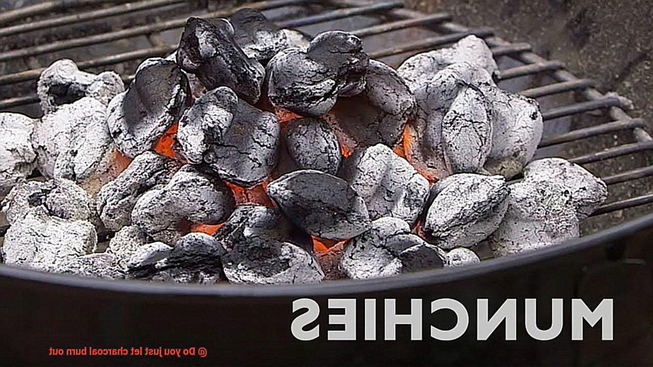 Do you just let charcoal burn out-5