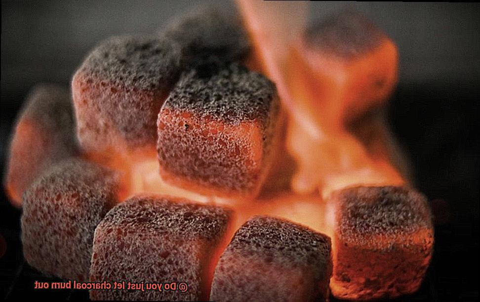 Do you just let charcoal burn out-4
