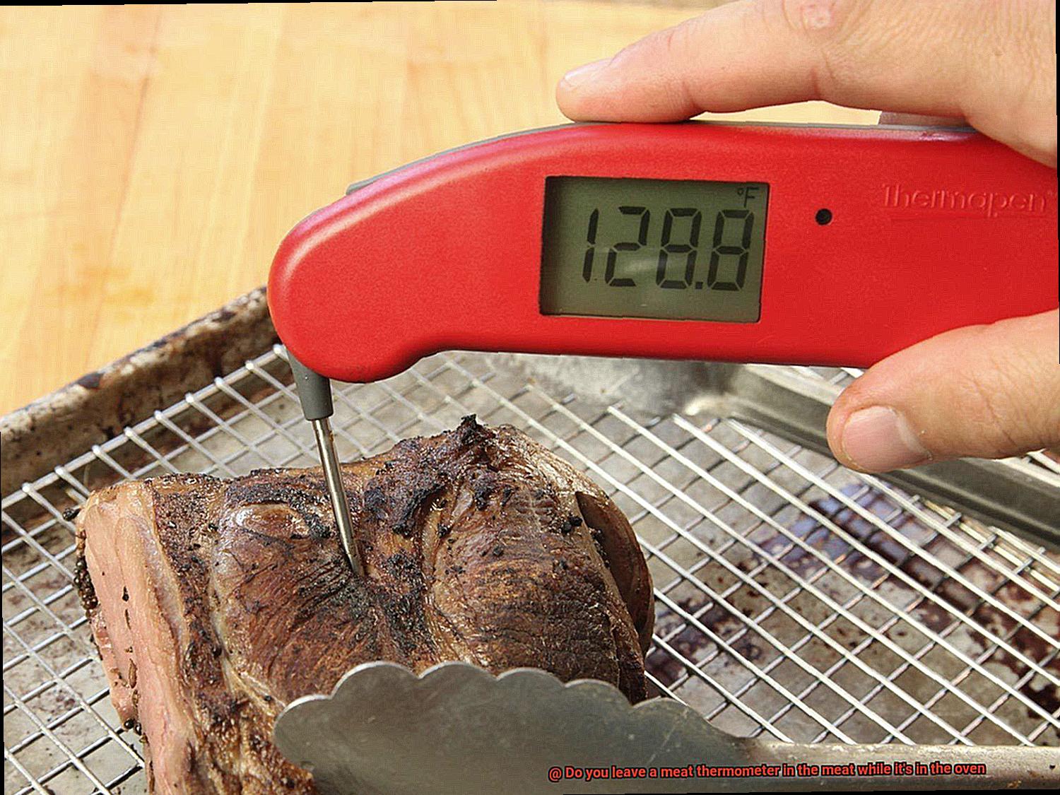 Do you leave a meat thermometer in the meat while it's in the oven-6