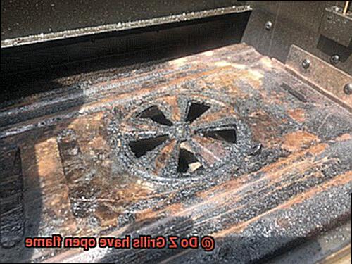 Do Z Grills have open flame-3