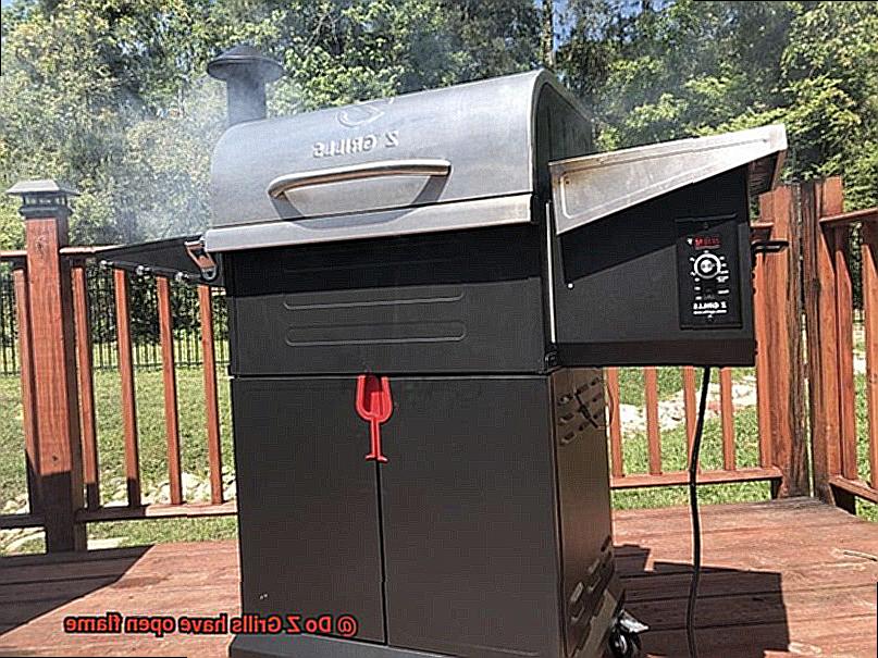 Do Z Grills have open flame-2