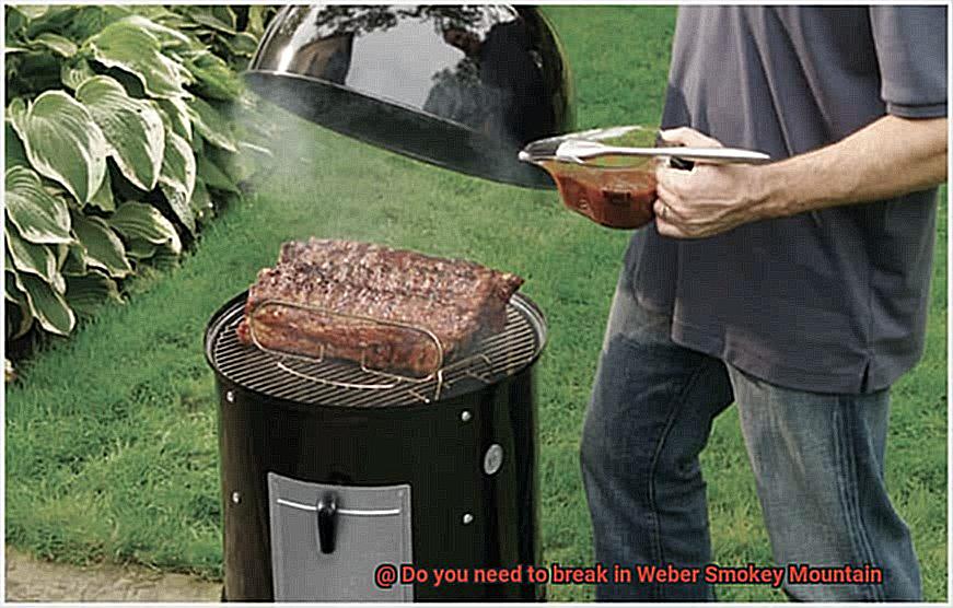 Do you need to break in Weber Smokey Mountain-2