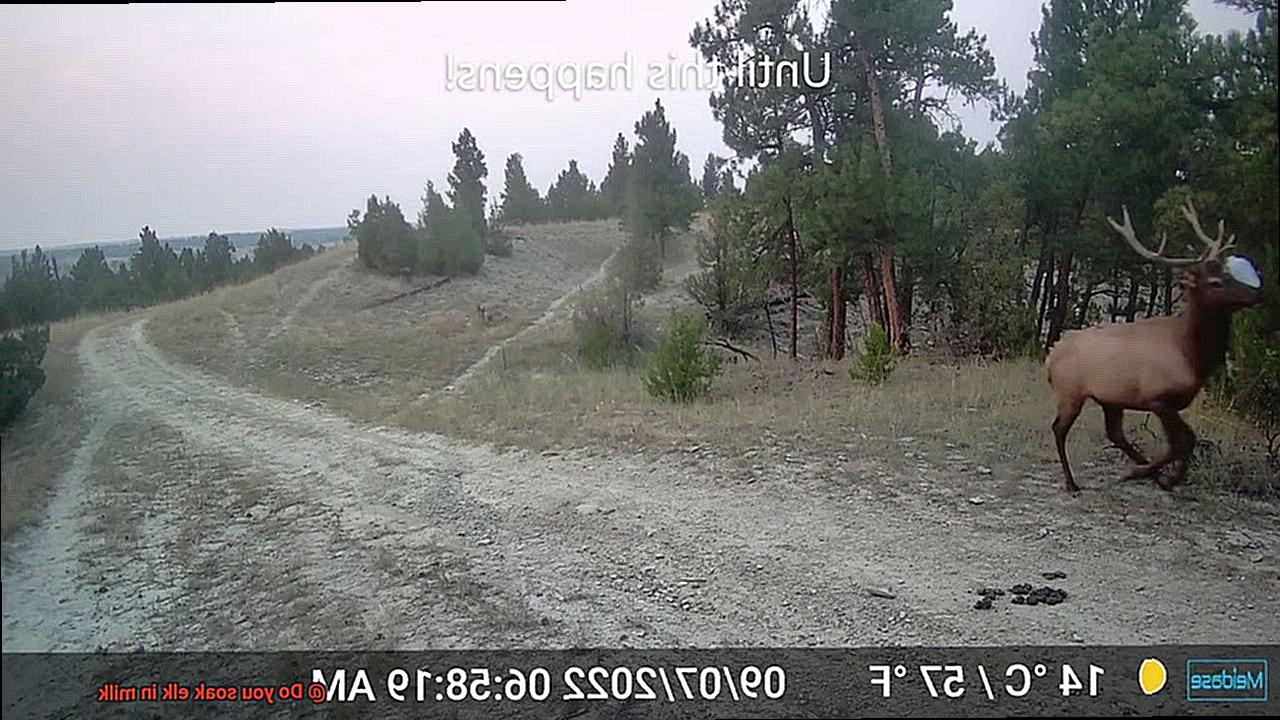 Do you soak elk in milk-2