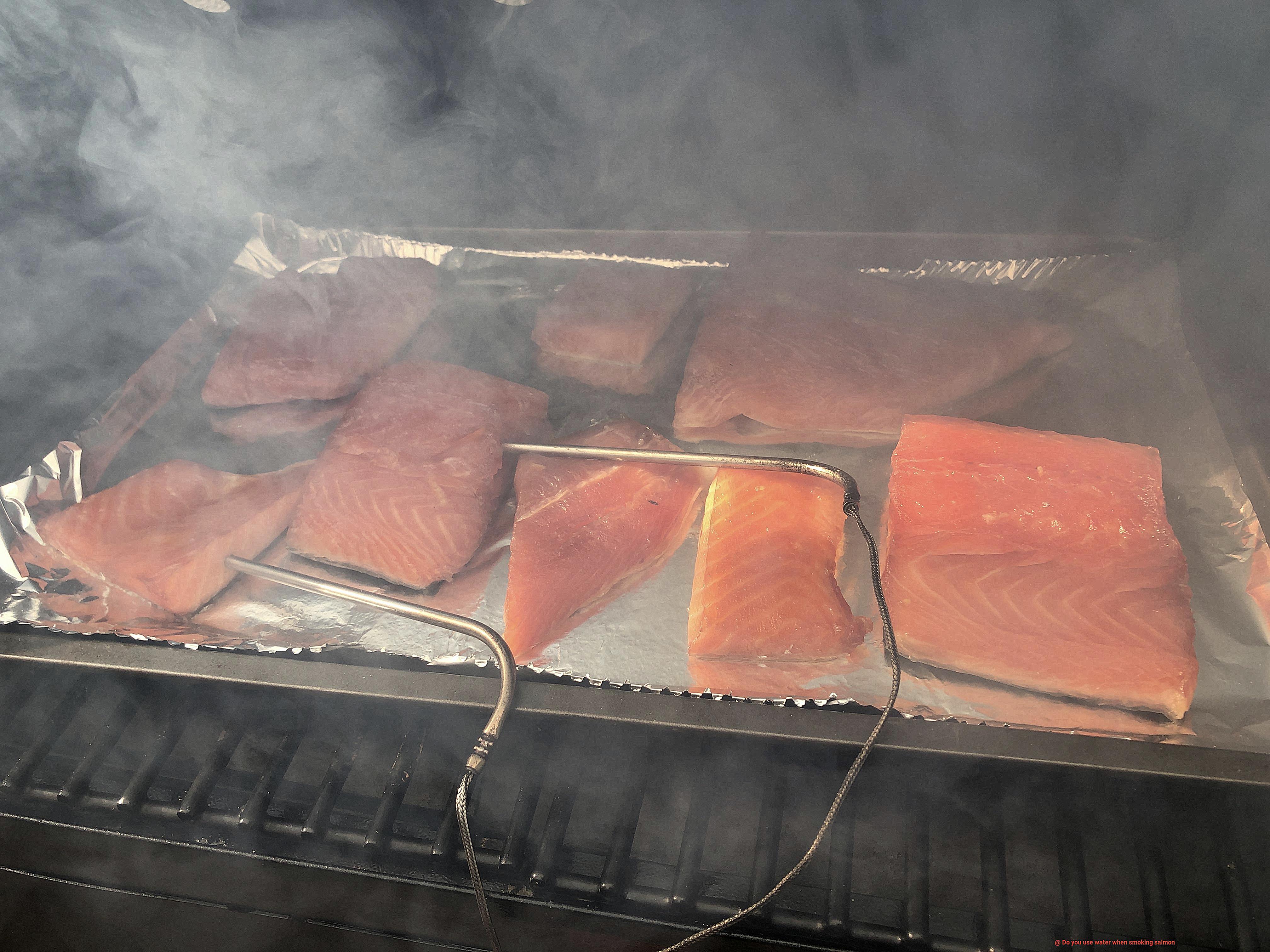 Do you use water when smoking salmon-6