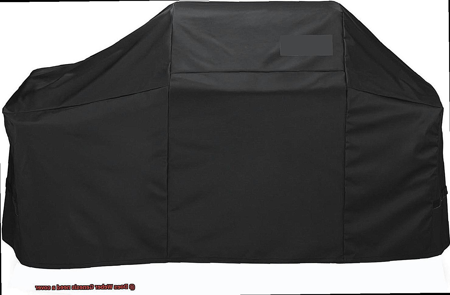 Does Weber Genesis need a cover-4