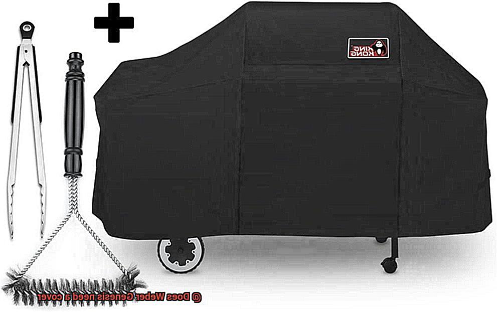 Does Weber Genesis need a cover-5