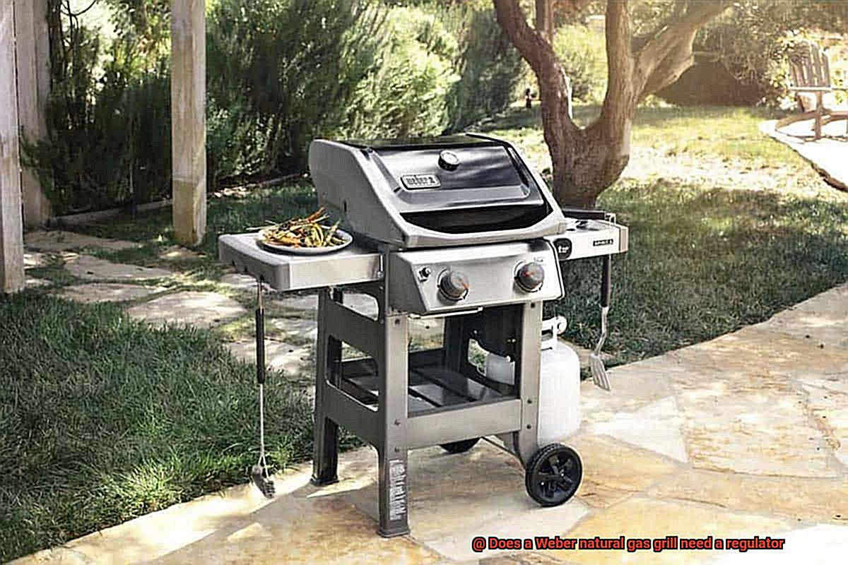 Does a Weber natural gas grill need a regulator-3