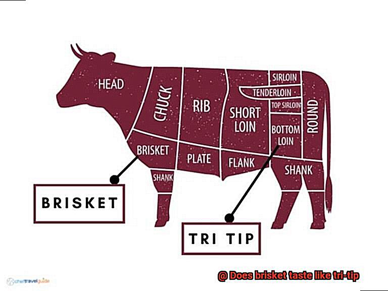 Does brisket taste like tri-tip-5