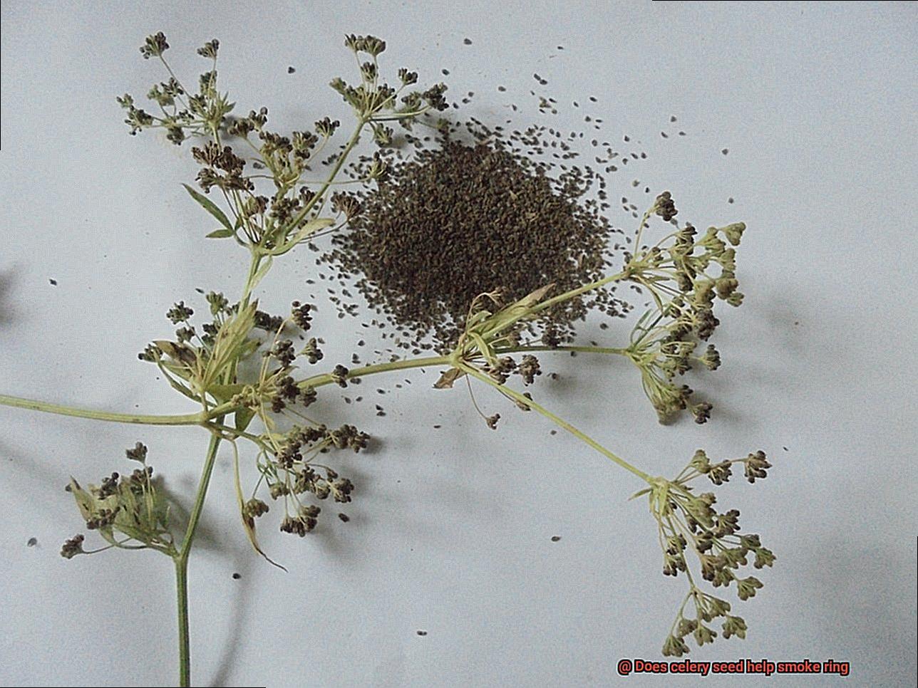 Does celery seed help smoke ring-3