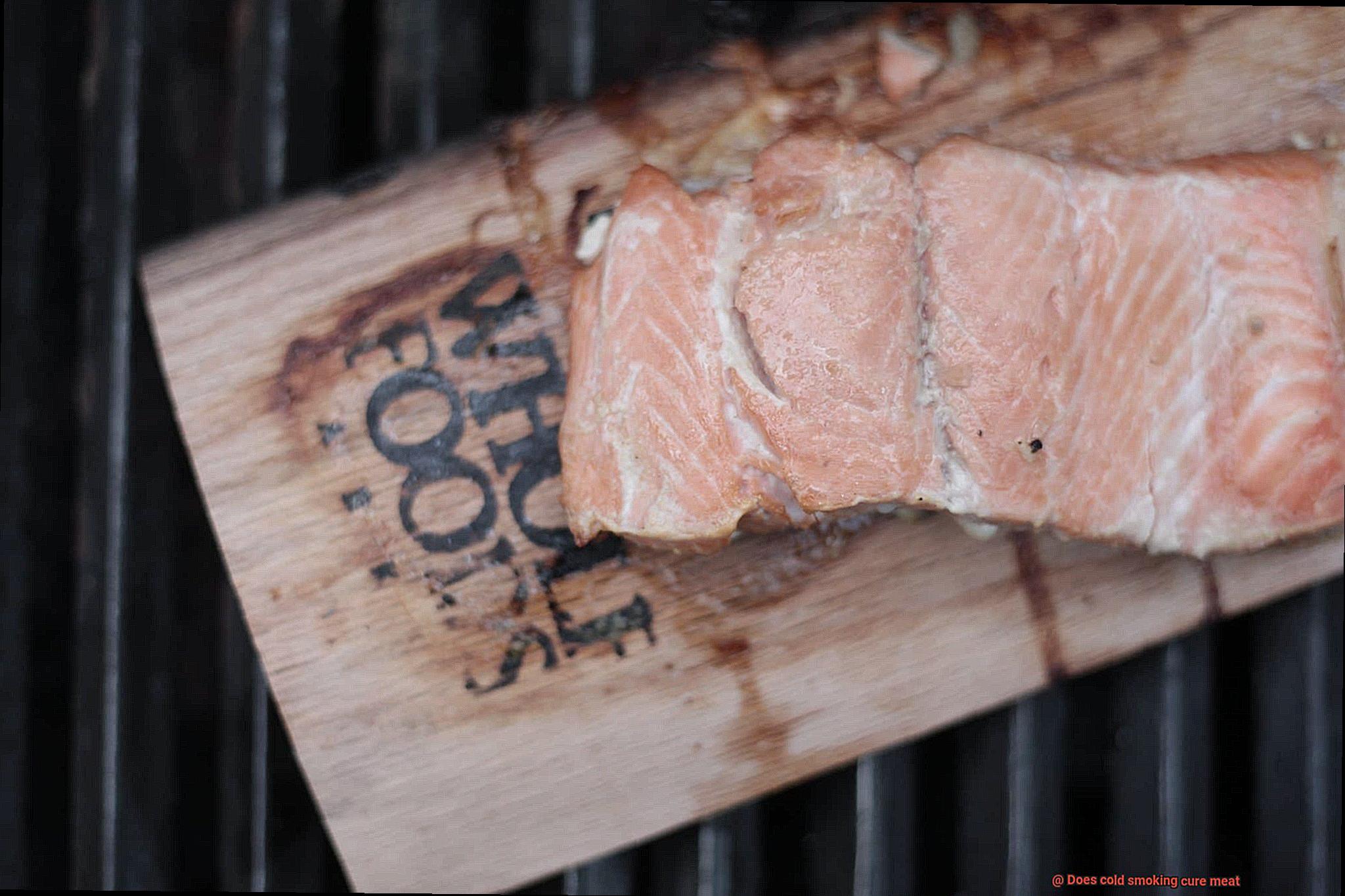 Does cold smoking cure meat-5
