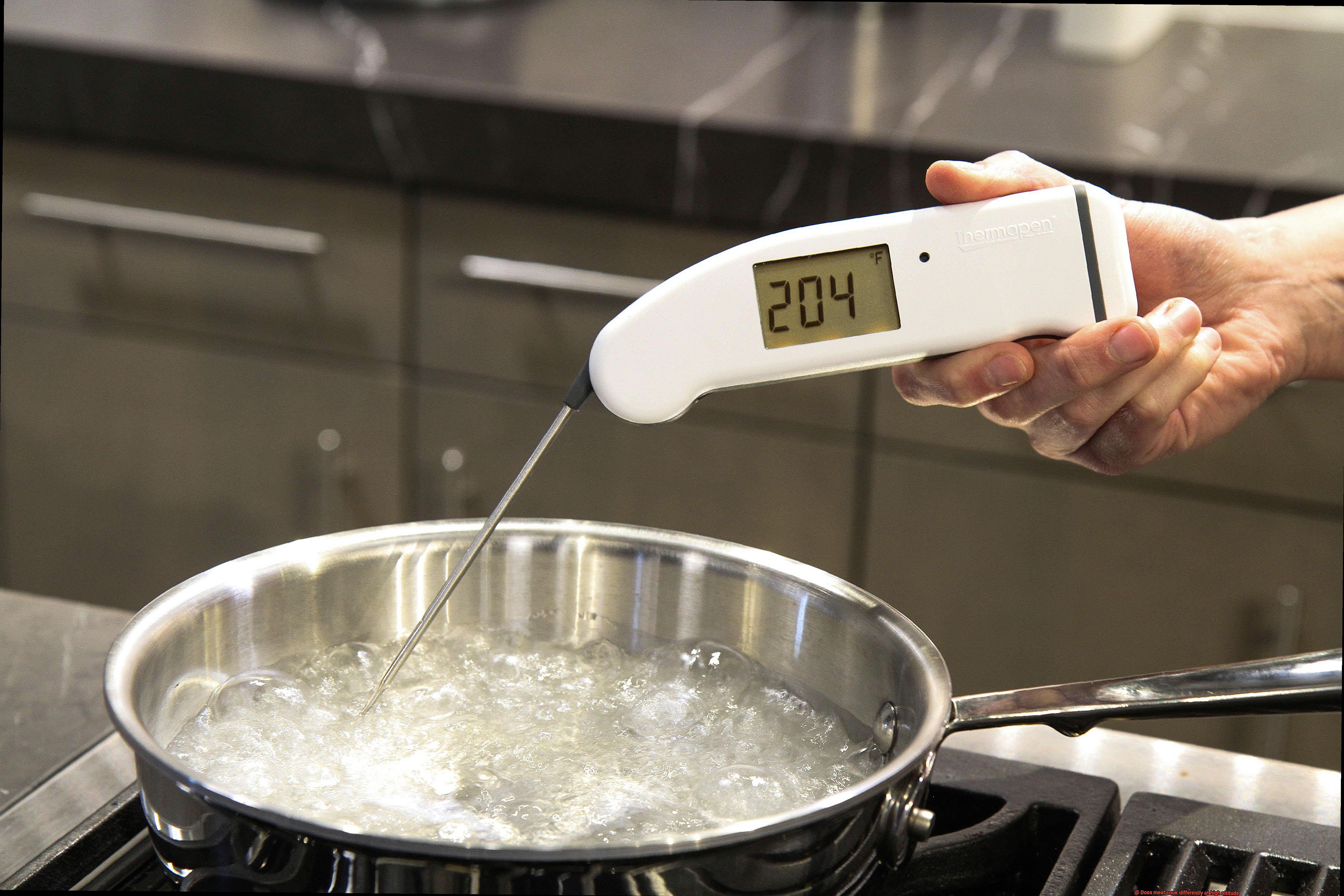 Does meat cook differently at high altitude-4