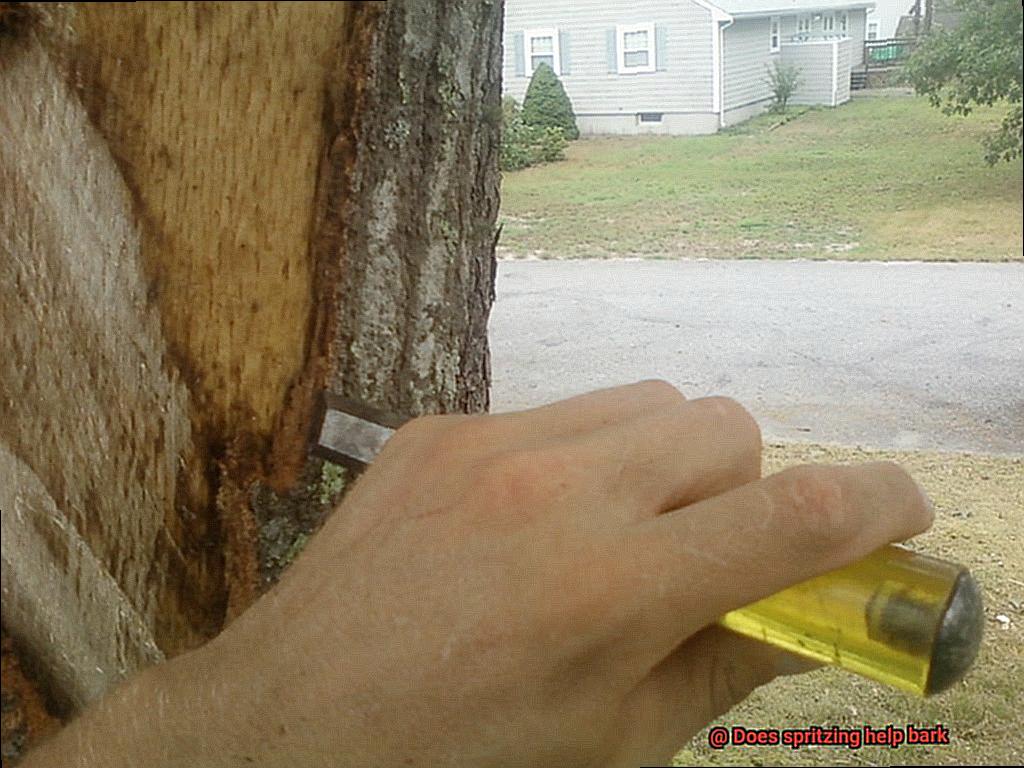 Does spritzing help bark-5