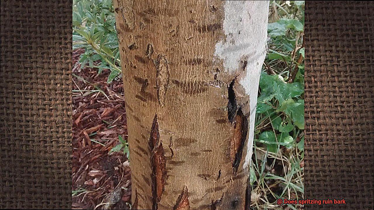 Does spritzing ruin bark-3