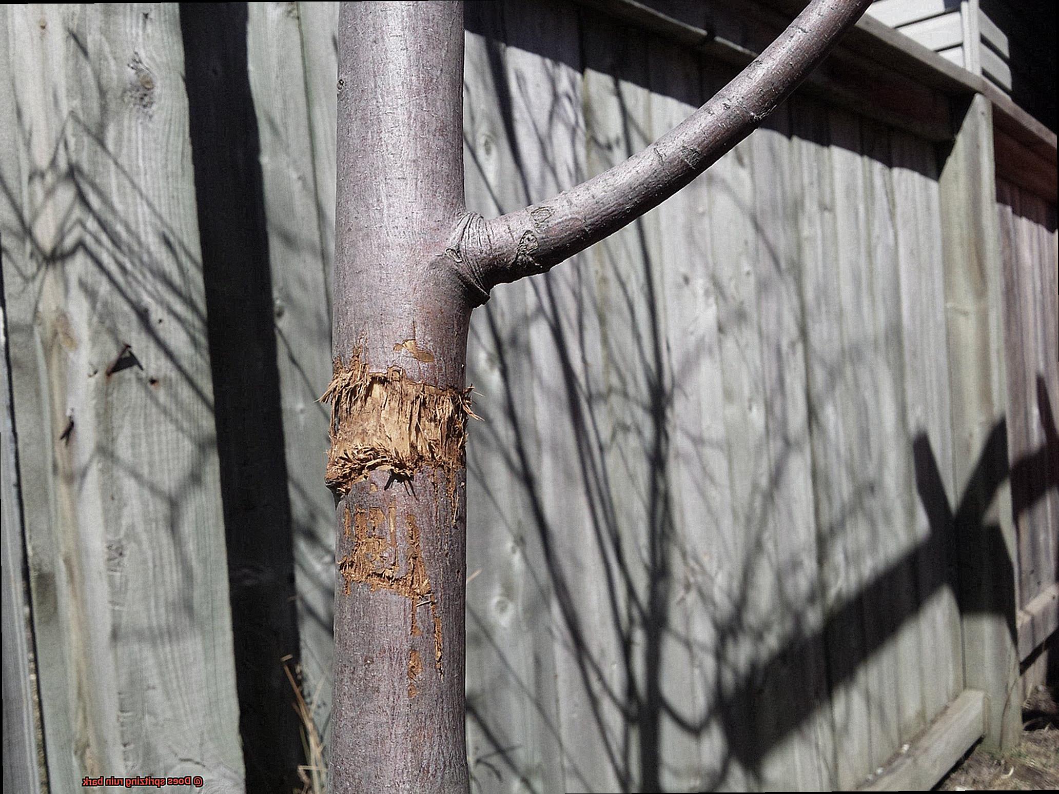 Does spritzing ruin bark-2
