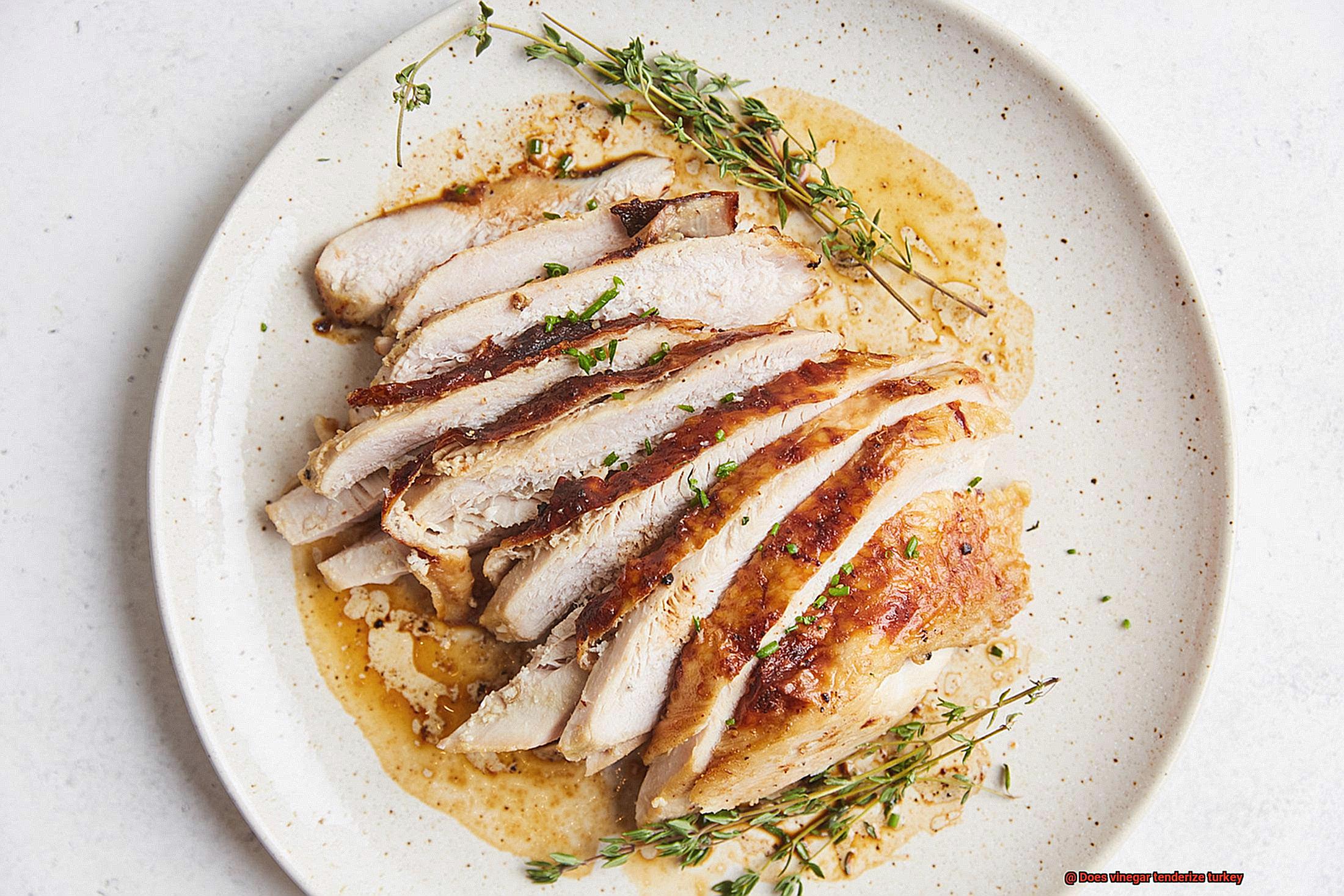 Does vinegar tenderize turkey-3