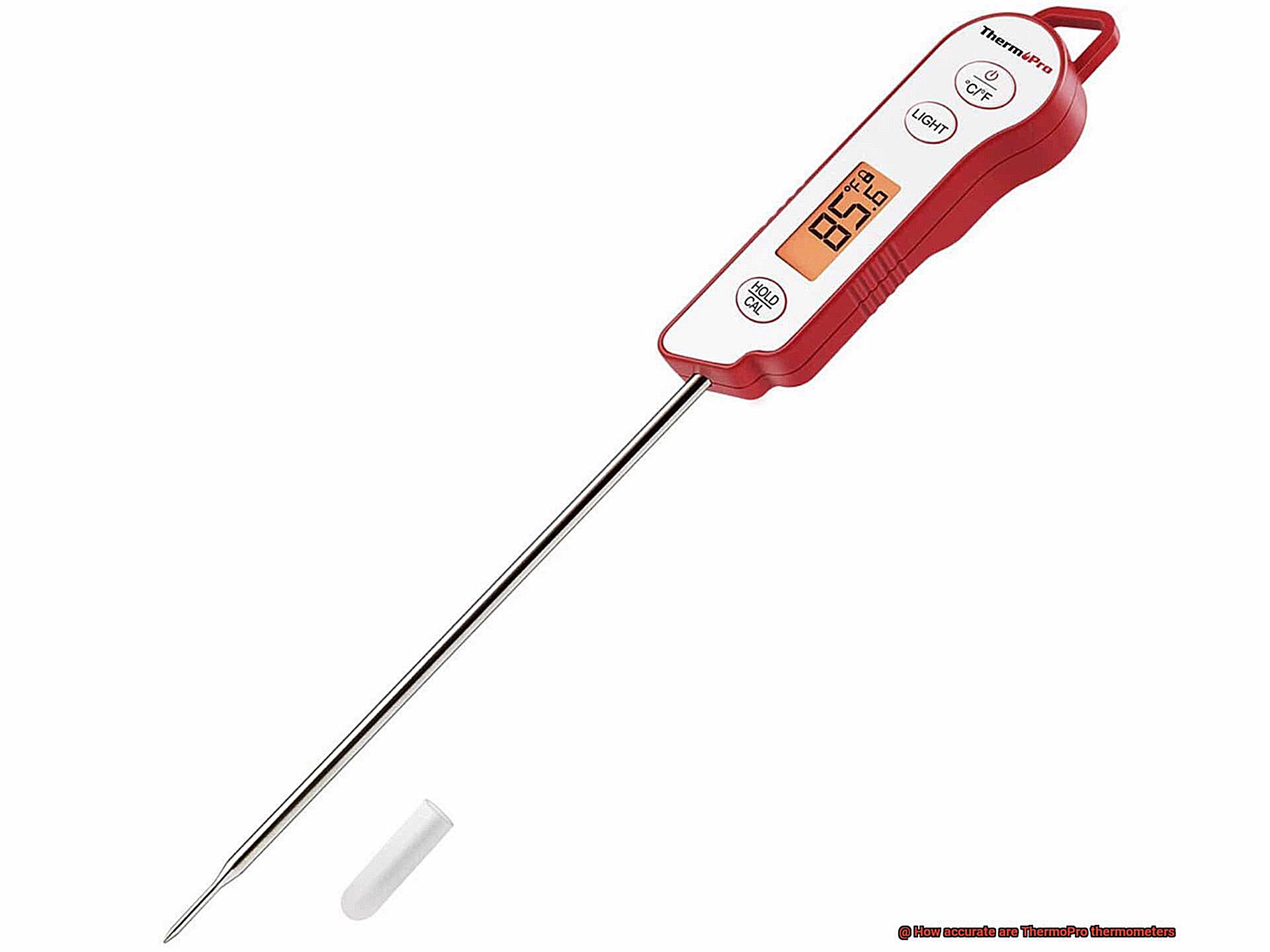 How accurate are ThermoPro thermometers? - Pastime Bar And Grill