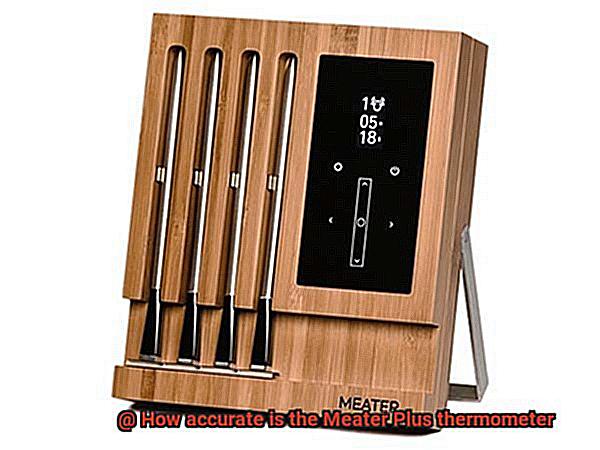 How accurate is the Meater Plus thermometer-2