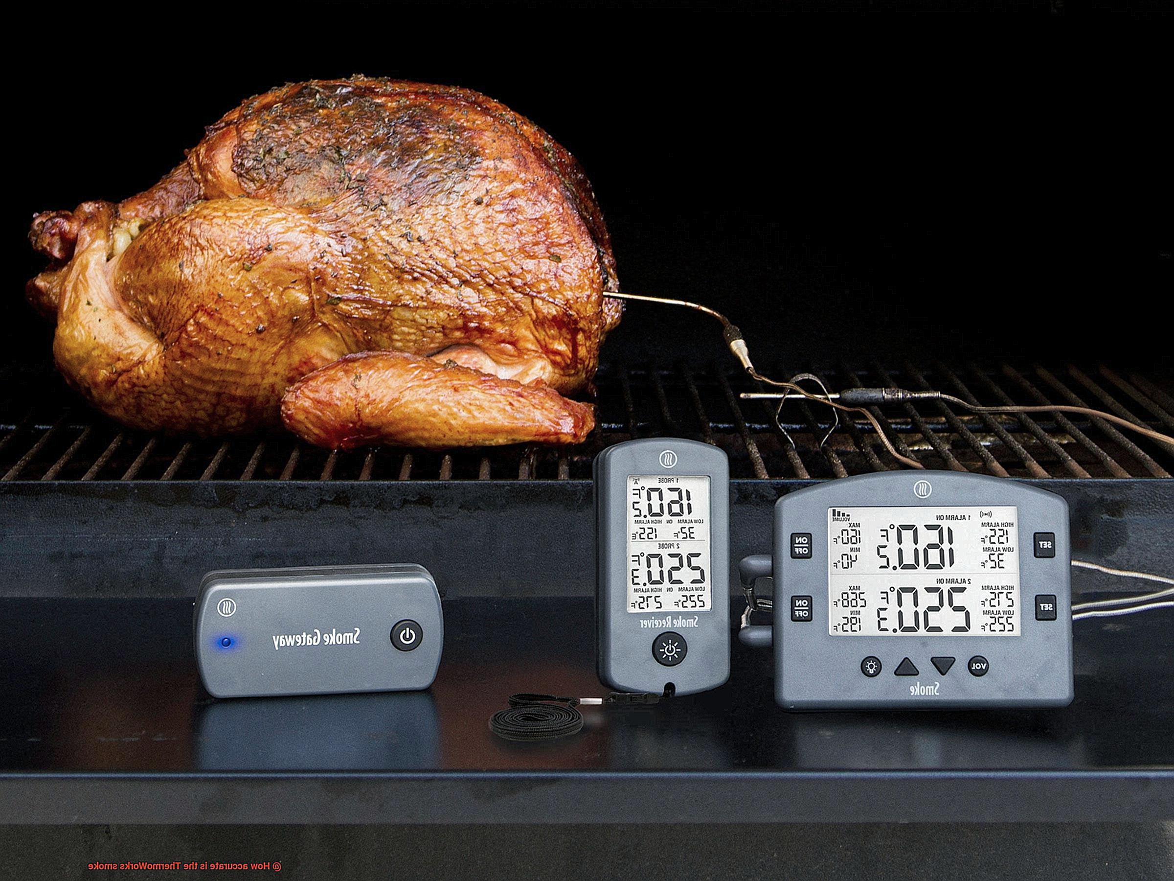 How accurate is the ThermoWorks smoke-2
