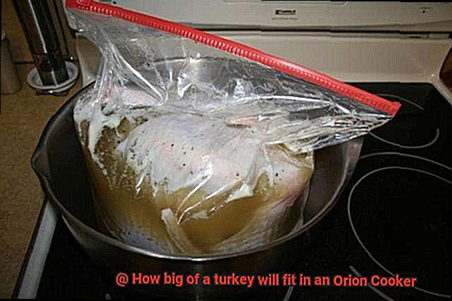 How big of a turkey will fit in an Orion Cooker-2