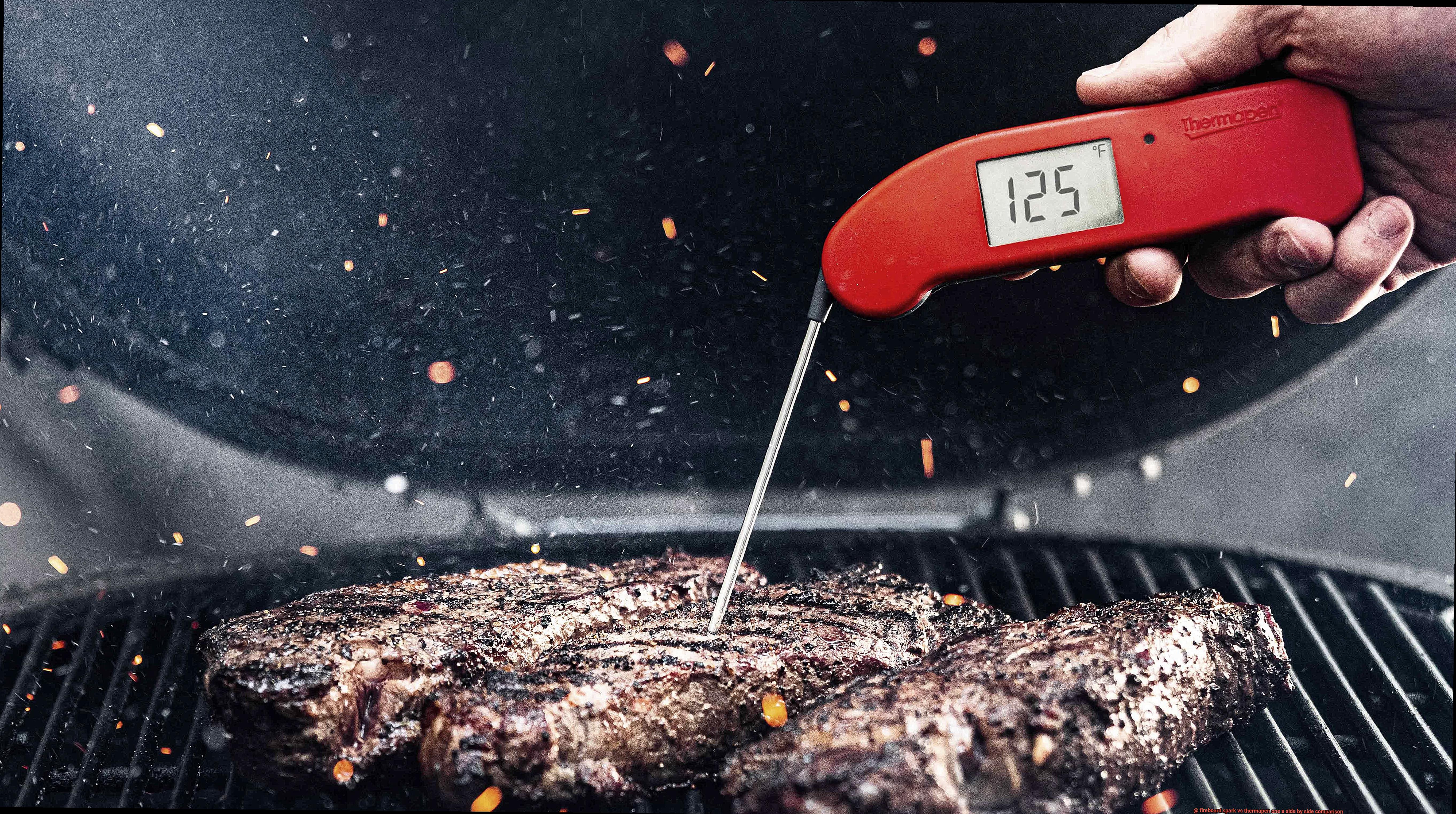 fireboard spark vs thermapen one a side by side comparison-6