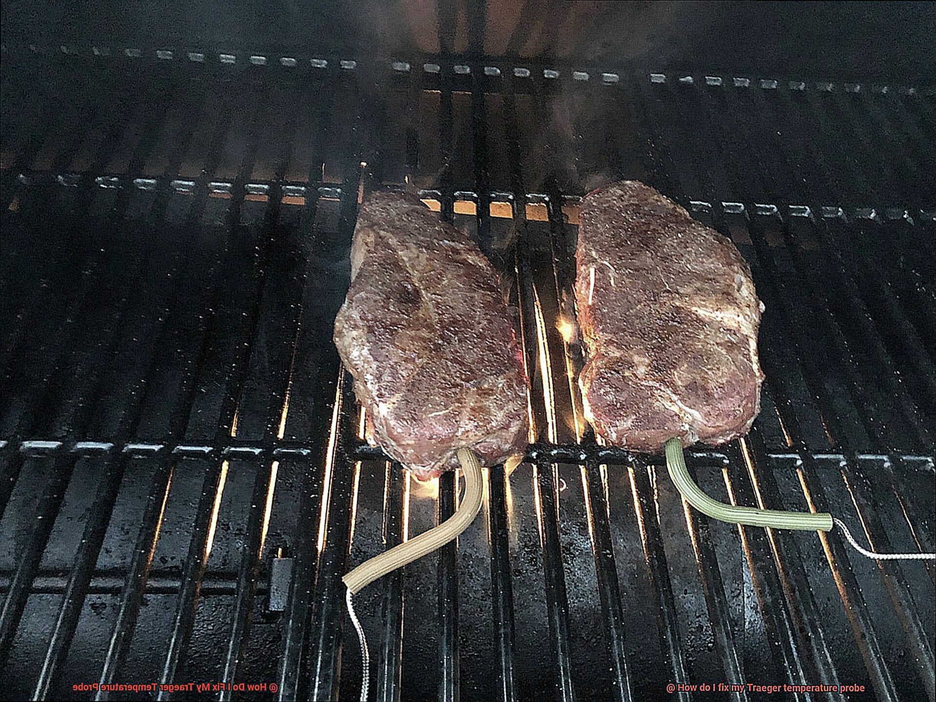 How Do I Fix My Traeger Temperature Probe -2