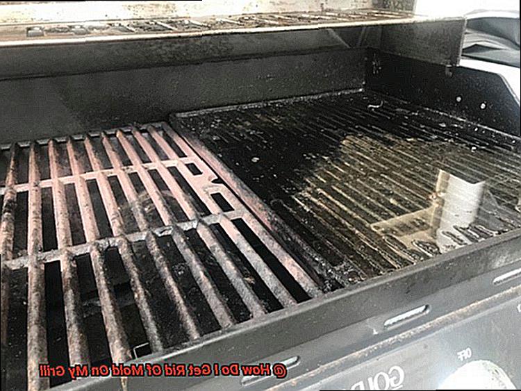 How Do I Get Rid Of Mold On My Grill-2