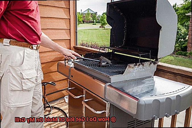 How Do I Get Rid Of Mold On My Grill-3