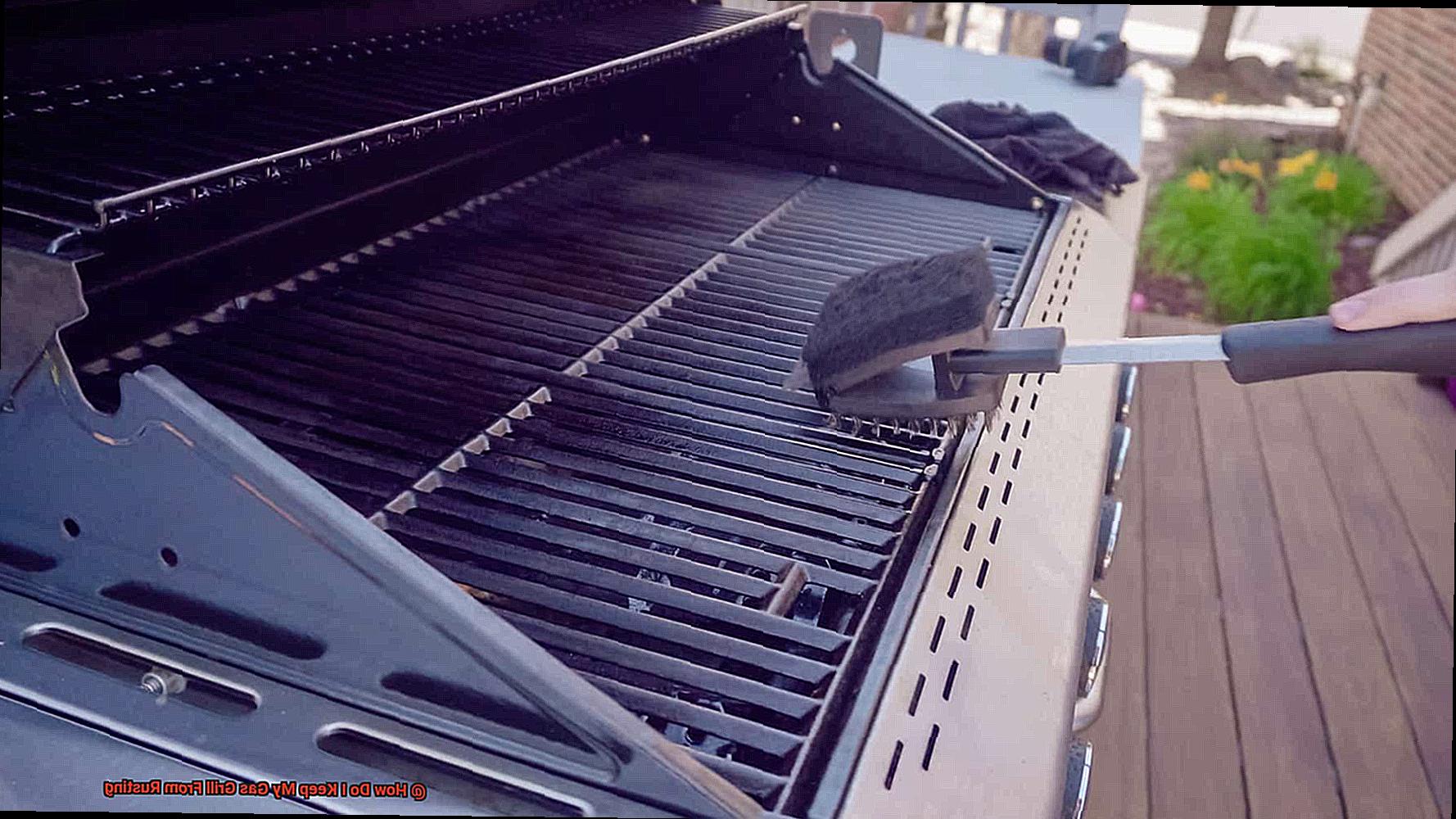How Do I Keep My Gas Grill From Rusting-2