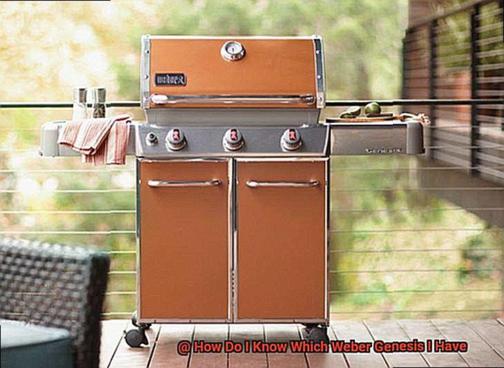 How Do I Know Which Weber Genesis I Have-3