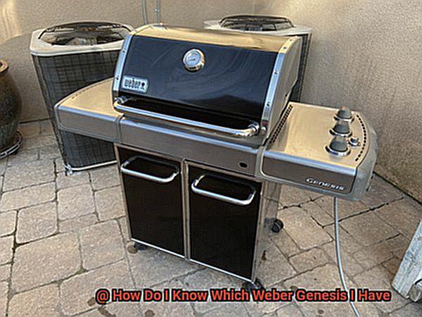 How Do I Know Which Weber Genesis I Have-2