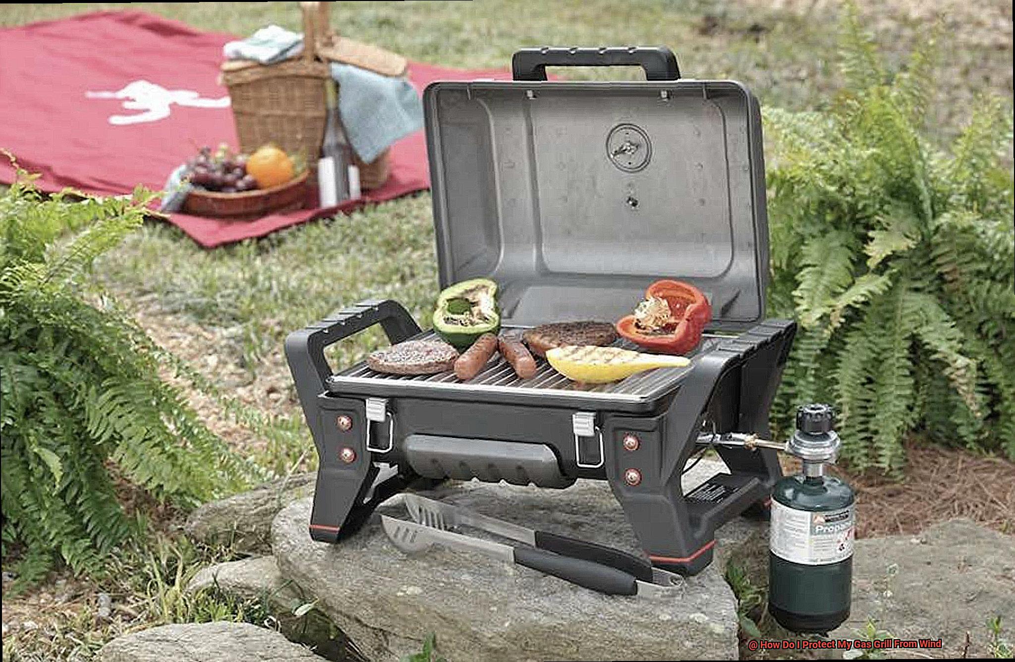 How Do I Protect My Gas Grill From Wind-3